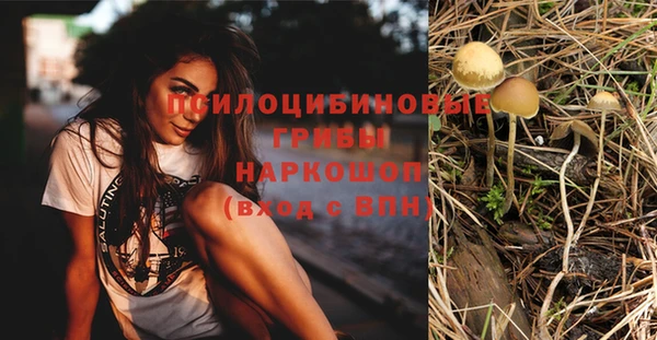 эйфоретик Волосово