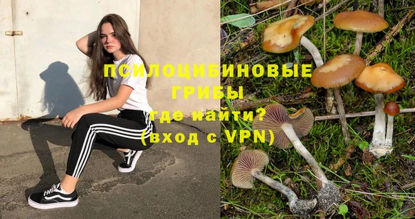 соль курить ск Беслан