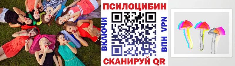 Псилоцибиновые грибы прущие грибы  omg ССЫЛКА  Елец 