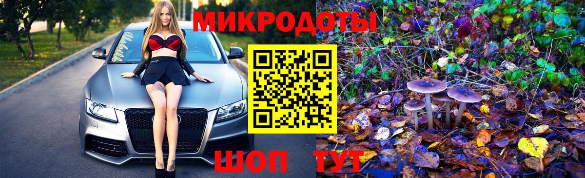 Псилоцибиновые грибы MAGIC MUSHROOMS  продажа наркотиков  Елец  Вход с VPN 