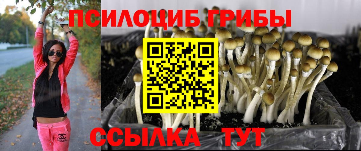 Галлюциногенные грибы MAGIC MUSHROOMS Елец